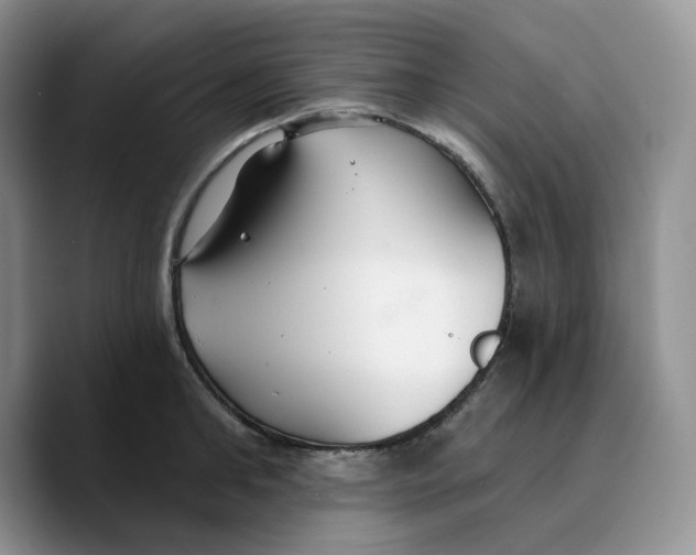 X0000089740902200707201859