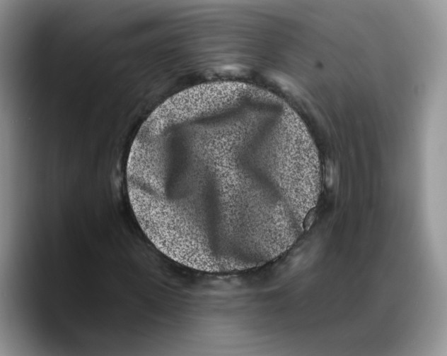 X0000089740915200707201859