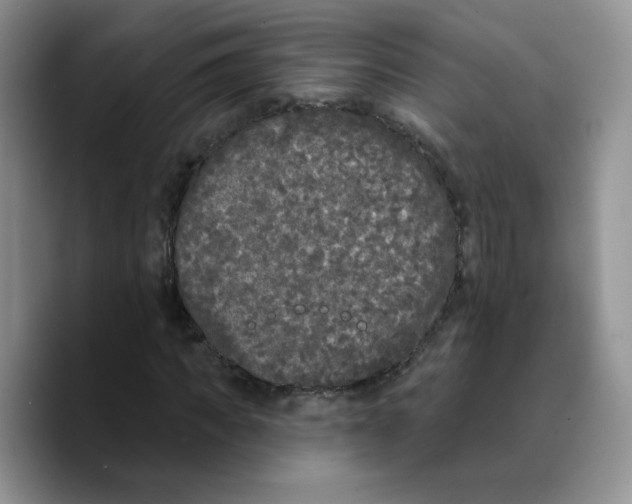 X0000089740917200707201859