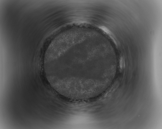 X0000089740919200707201859