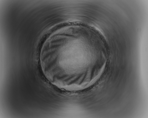 X0000089740920200707201859