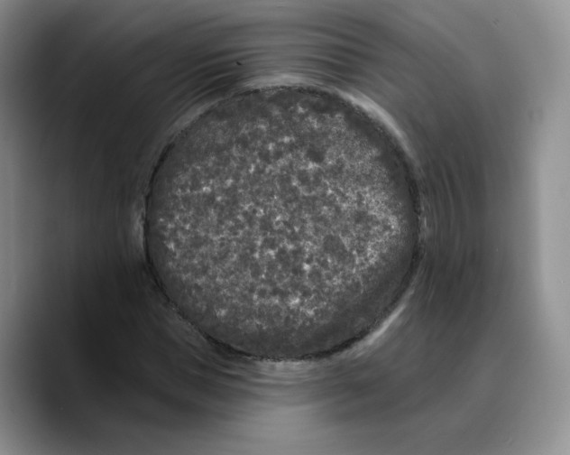 X0000089740921200707201859