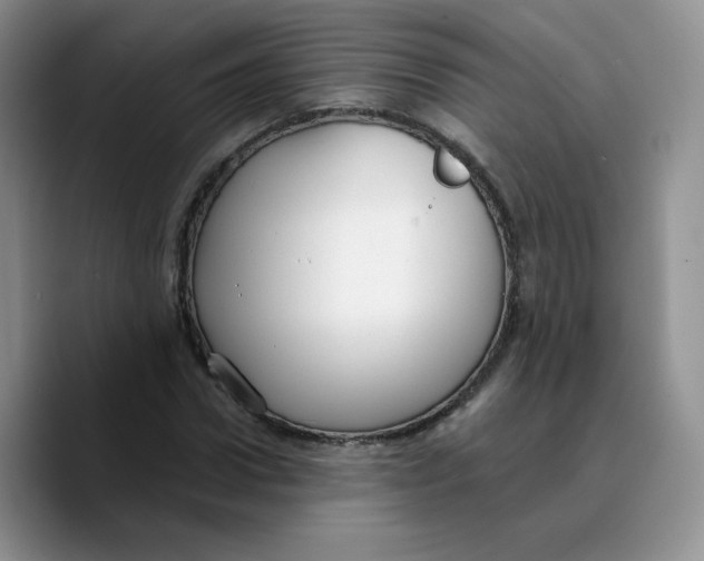 X0000089740922200707201859
