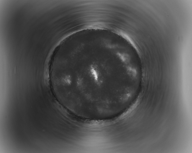 X0000089740923200707201859