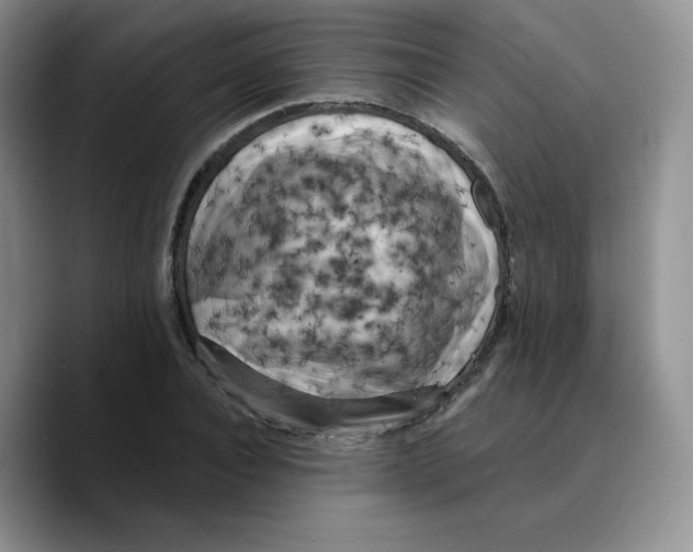 X0000089740928200707201859