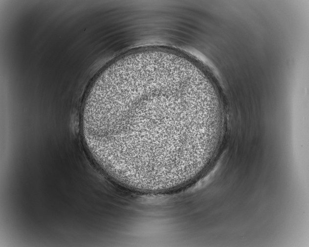 X0000089740929200707201859