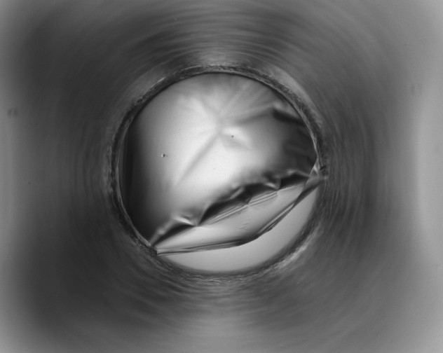 X0000089740930200707201859