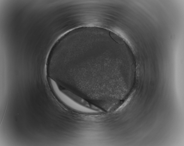 X0000089740932200707201859