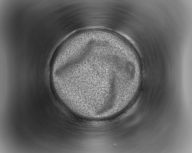 X0000089740933200707201859