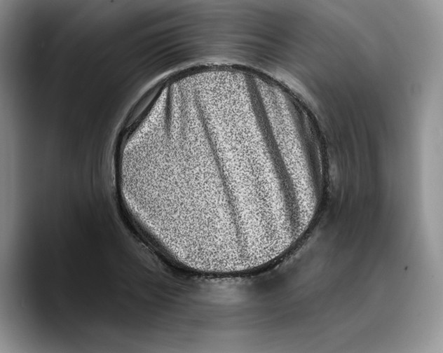 X0000089740934200707201859