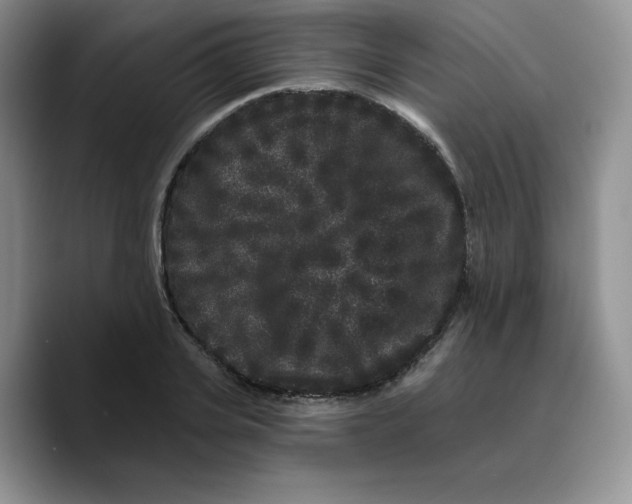 X0000089740935200707201859