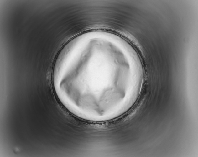 X0000089740937200707201859