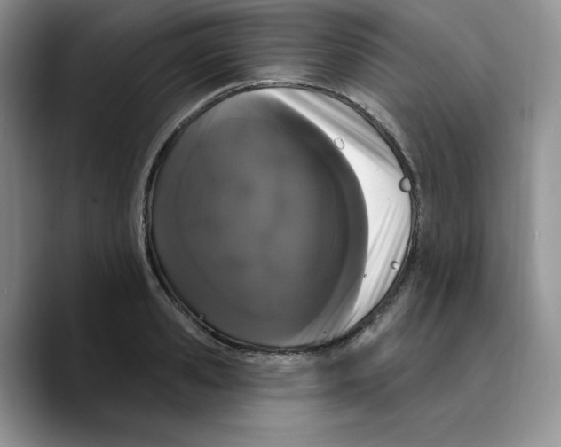 X0000089740941200707201859