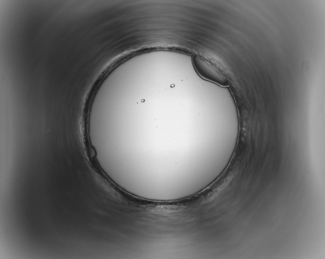 X0000089740942200707201859