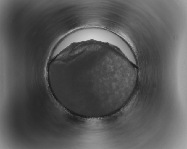 X0000089740944200707201859