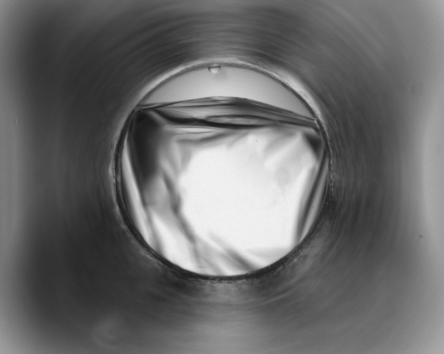 X0000089740951200707201859