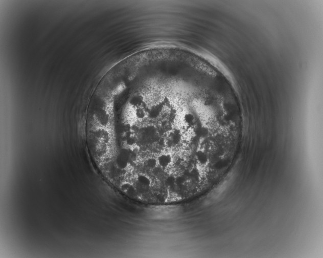 X0000089740953200707201859