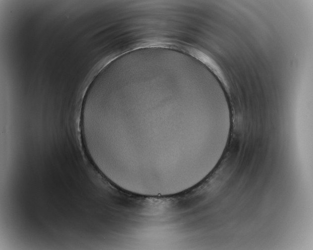 X0000089740954200707201859