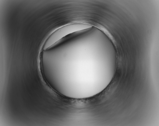 X0000089740955200707201859