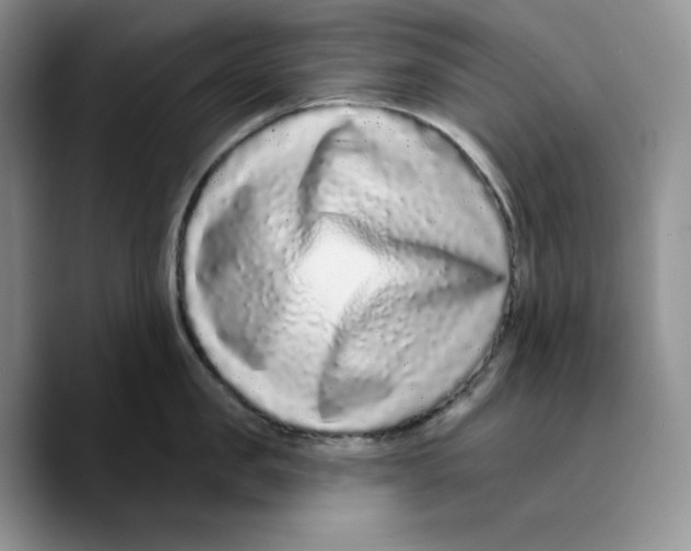 X0000089740957200707201859