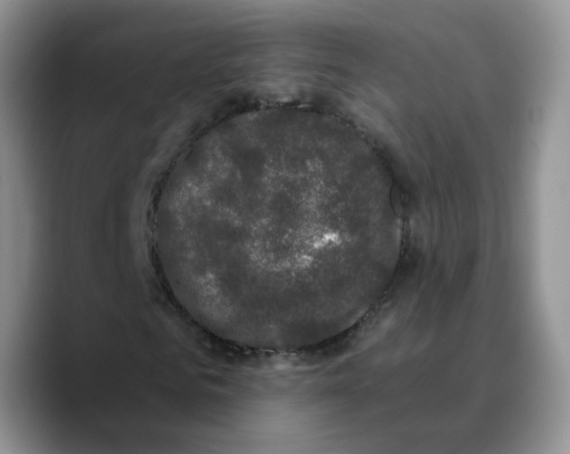 X0000089740961200707201859