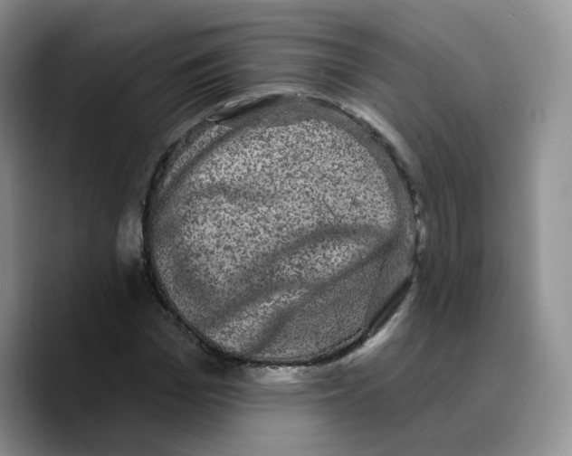 X0000089740969200707201858