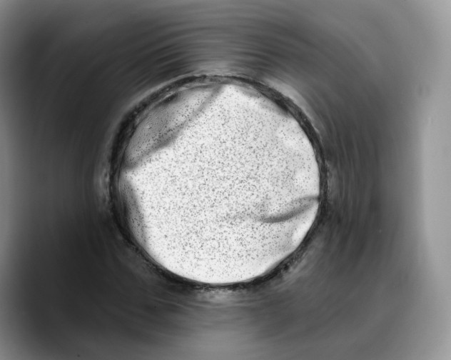 X0000089740971200707201858