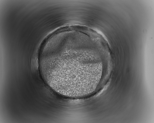 X0000089740973200707201858