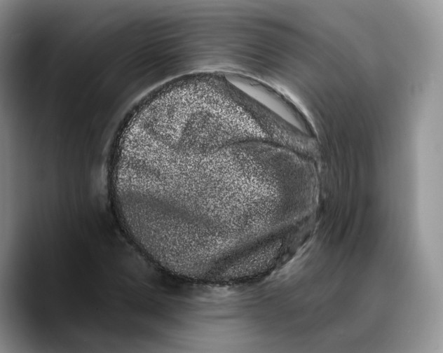 X0000089740975200707201858