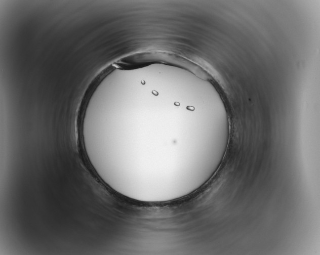 X0000089740980200707201858