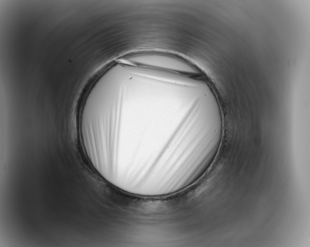 X0000089740982200707201858