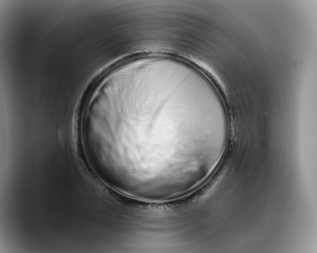 X0000089740983200707201858