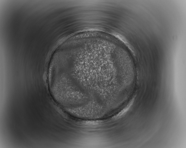 X0000089740985200707201858