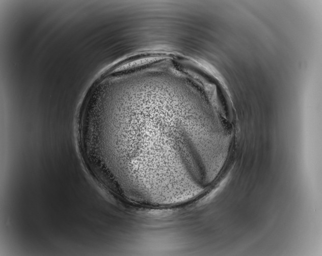 X0000089740989200707201858
