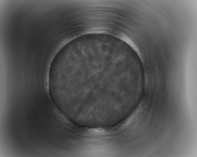 X0000089740994200707201858