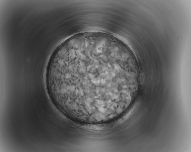 X0000089740995200707201858