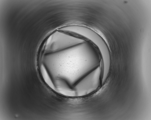 X0000089740997200707201858