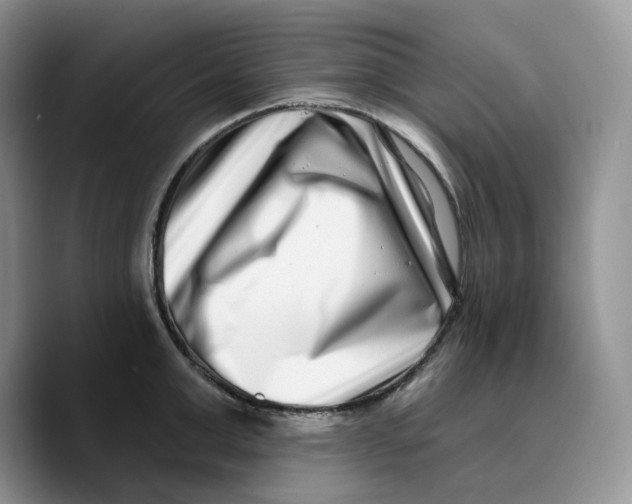 X0000089740999200707201858
