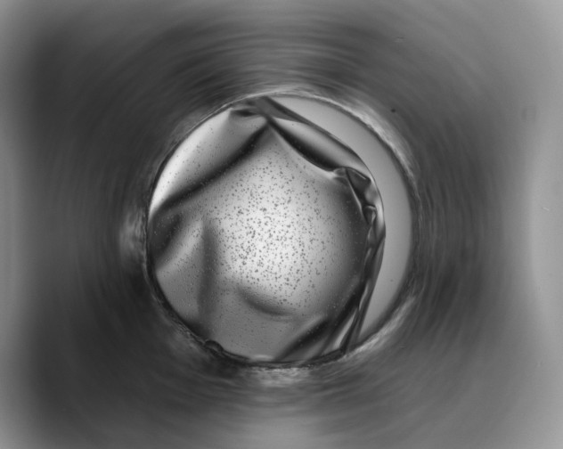 X0000089741001200707201858