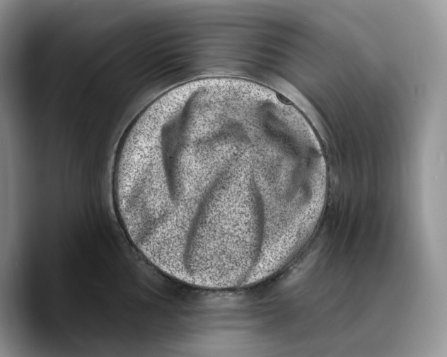 X0000089741002200707201858
