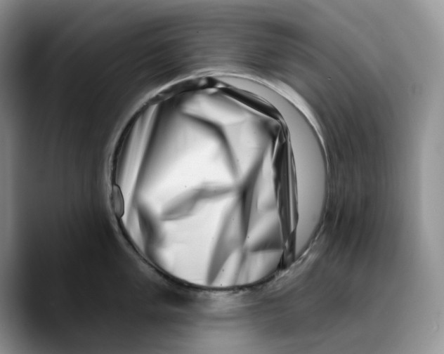 X0000089741005200707201858