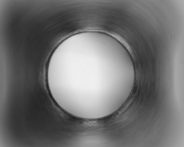 X0000089741006200707201858