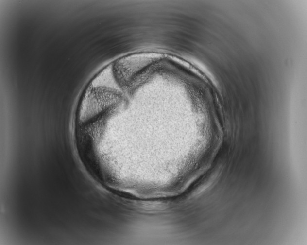 X0000089741007200707201858