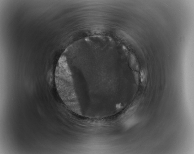 X0000089741011200707201857