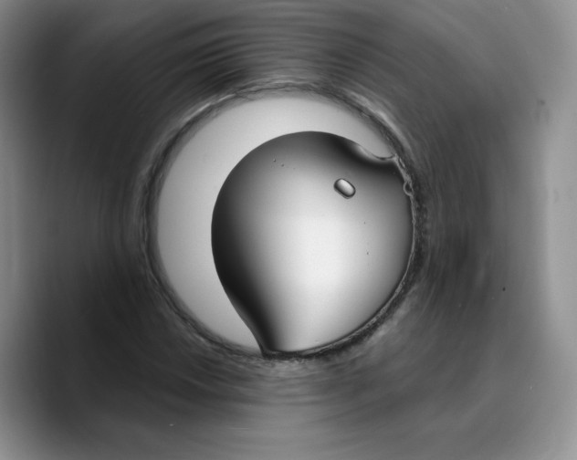 X0000089741018200707201857