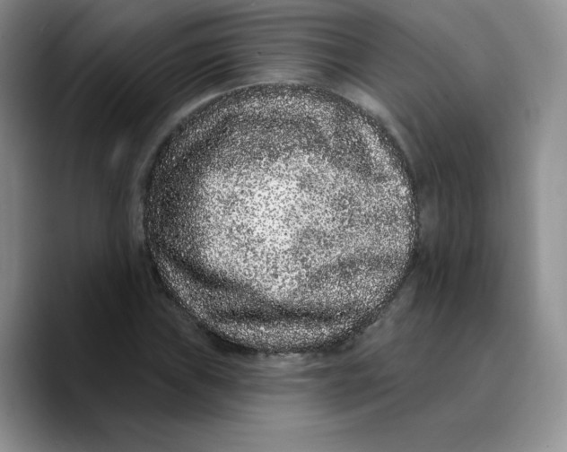 X0000089741019200707201857