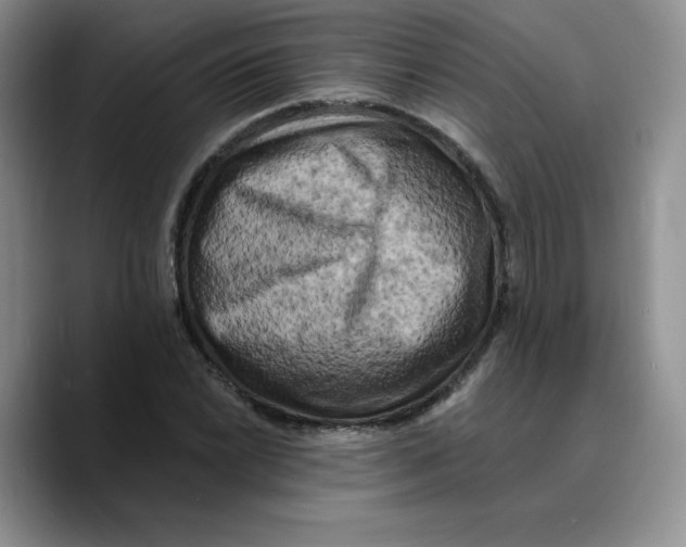 X0000089741022200707201857