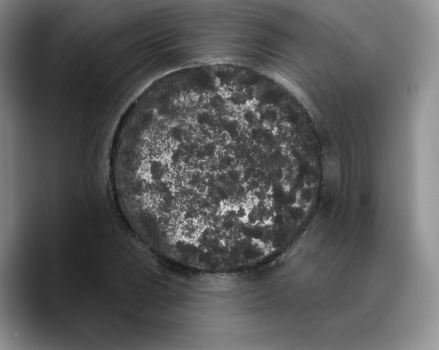 X0000089741023200707201857
