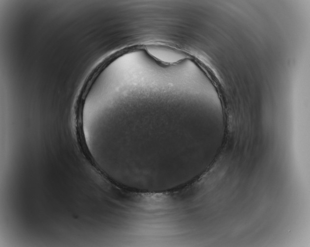 X0000089741024200707201857