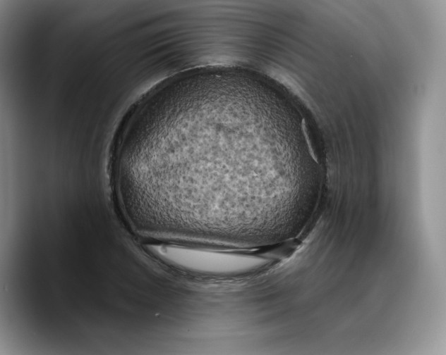 X0000089741026200707201857